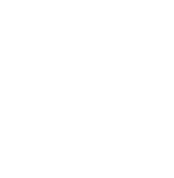 X White